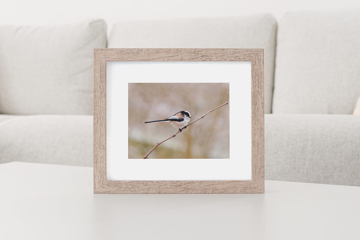 Introducing the Prints