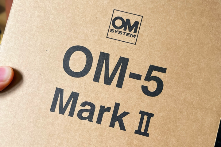 E-M5 III vs. OM-5 II: Was the Switch Worth It?