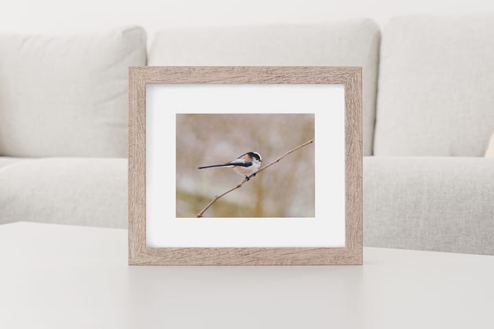 Introducing the Prints